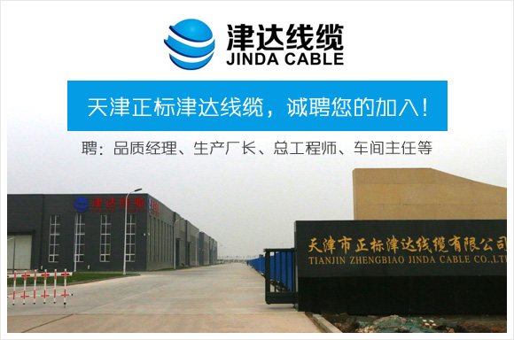 天津正标津达线缆集团有限公司