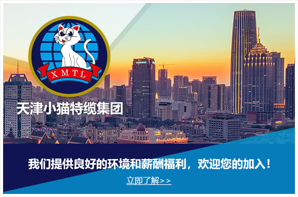 天津小猫特缆集团有限公司