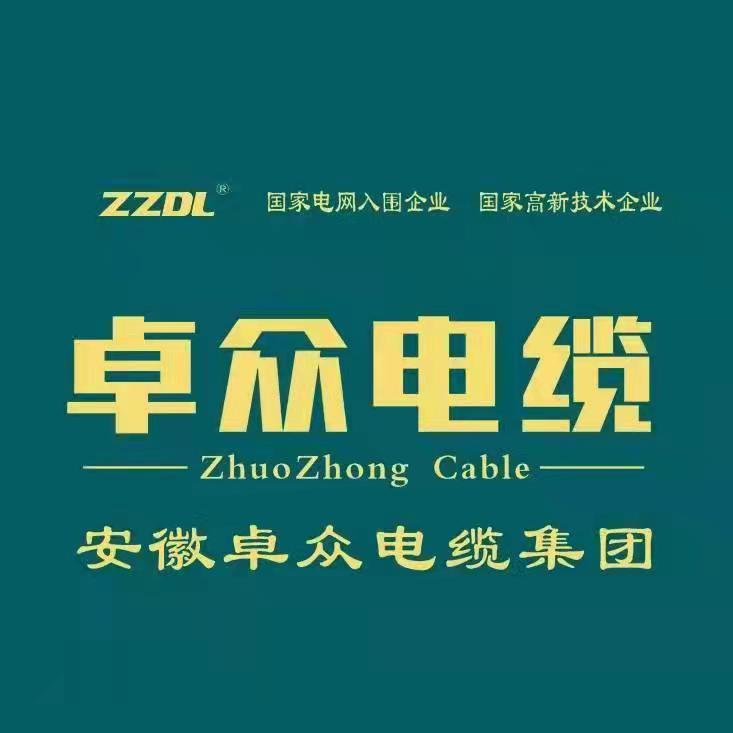 安徽卓众电缆集团有限公司