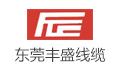 东莞丰盛电线电缆有限公司