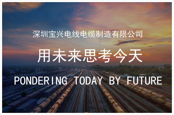 广州宝新电线电缆制造有限公司