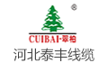泰丰线缆有限公司