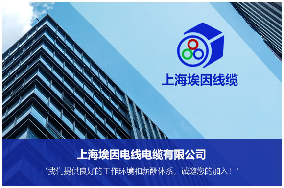 上海埃因电线电缆有限公司