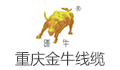 重庆市金牛线缆有限公司