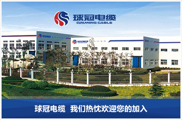 宁波球冠电缆股份有限公司
