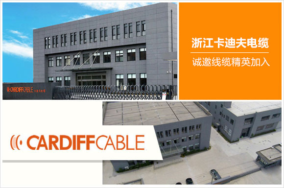浙江卡迪夫电缆有限公司
