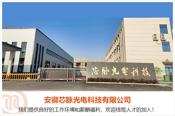 安徽芯脉光电科技有限公司