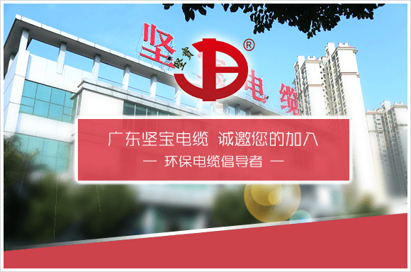 广东坚宝电缆有限公司