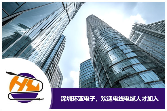 深圳市环亚电子有限公司