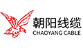江苏朝阳高温线缆有限公司