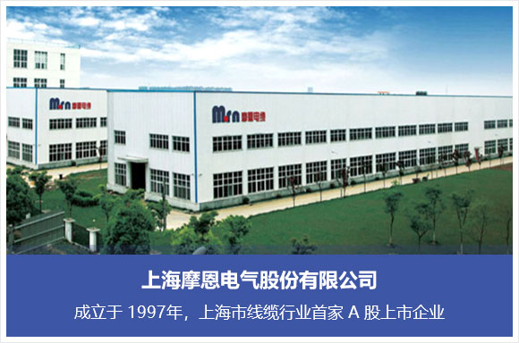 上海摩恩电气股份有限公司