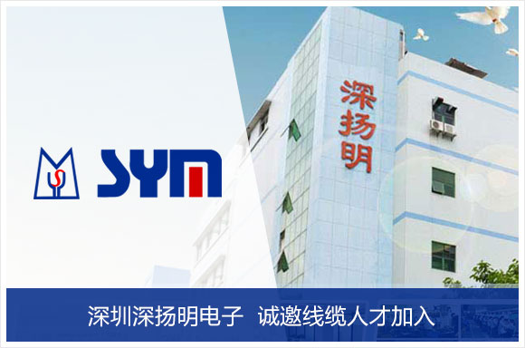 深圳市深扬明电子有限公司