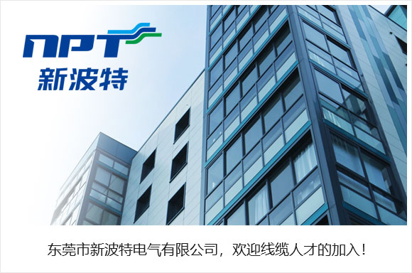 东莞市新波特电气有限公司