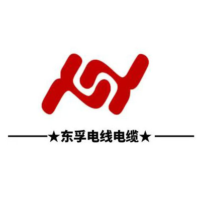 东莞市东孚电子有限公司