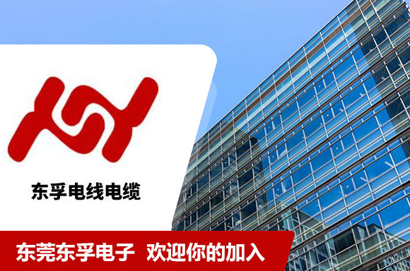 东莞市东孚电子有限公司