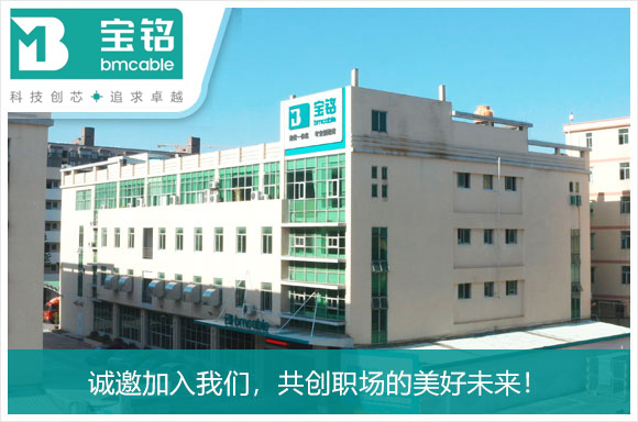 广东宝铭实业科技有限公司