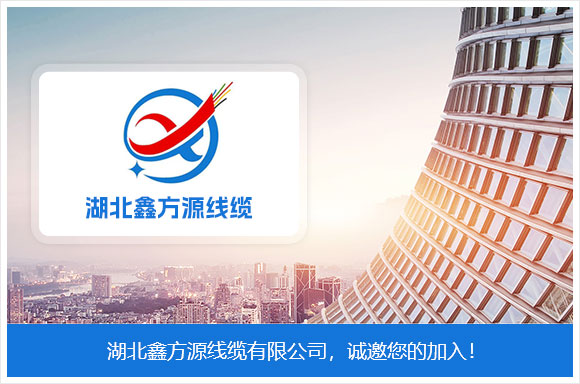 湖北鑫方源线缆有限公司