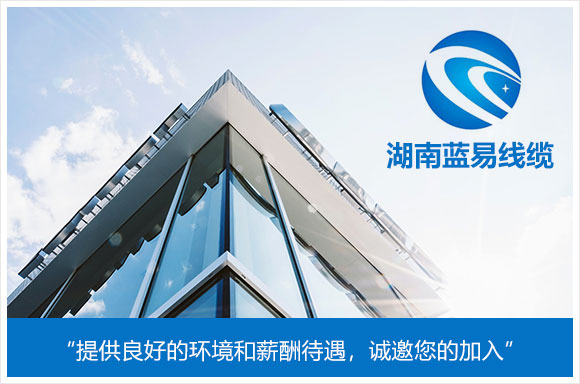 湖南蓝易线缆有限公司
