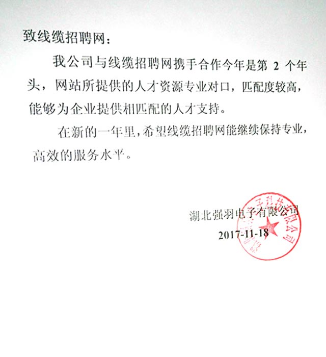 湖北强羽电子有限公司