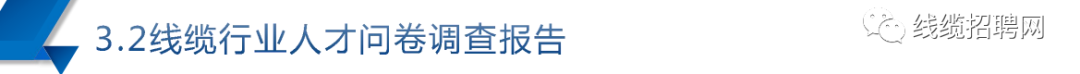 问卷调查报告